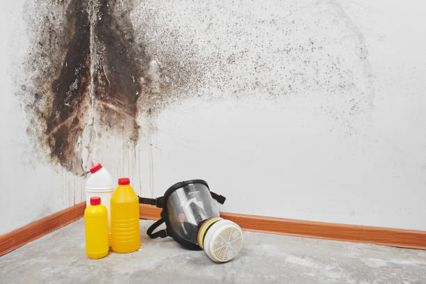 Best Industrial Mold Remediation in Fosston, MN