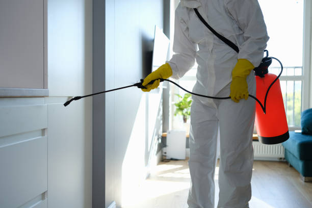 Best Mold Testing and Inspection Services in Fosston, MN