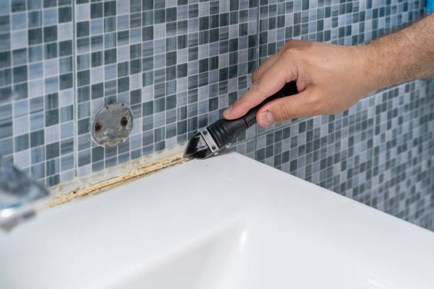 Best Commercial Mold Remediation in Fosston, MN