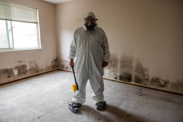 Best Crawl Space Mold Remediation in Fosston, MN